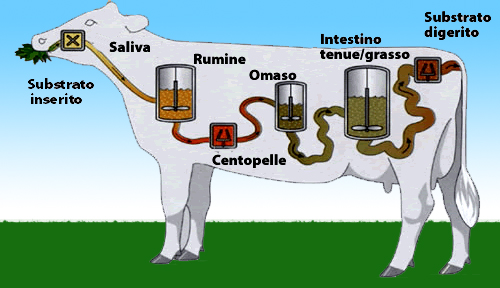 L'energia dalla Natura 